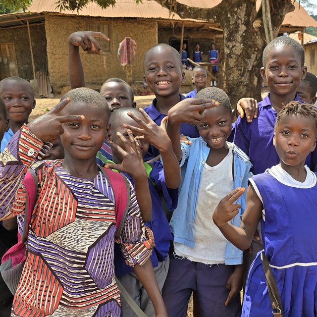 Sommerens nyhetsbrev